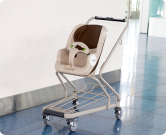 Stroller rentals image